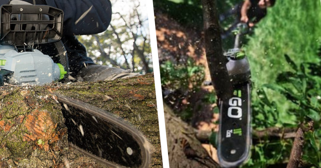 Chainsaw vs pruning saw